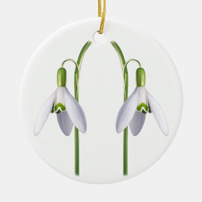 Snowdrop. Ceramic Ornament (Front)