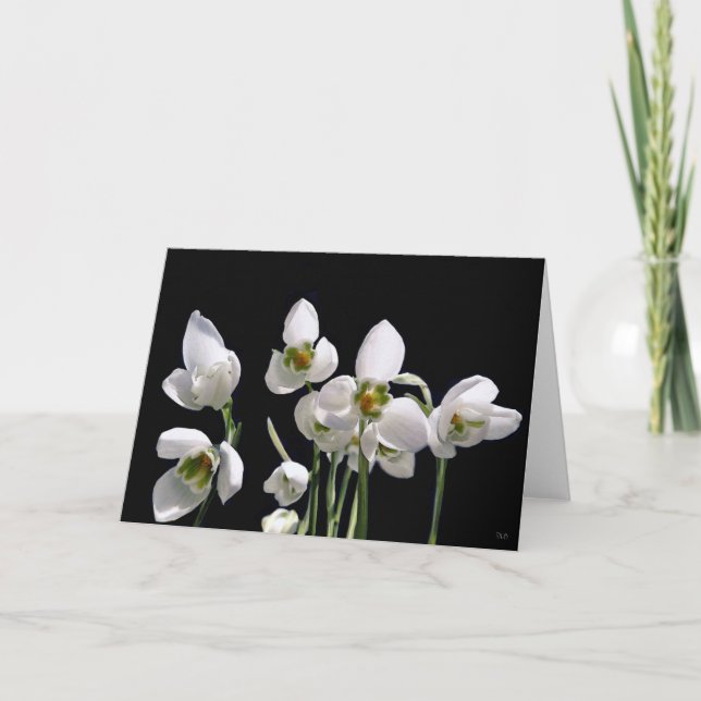 Snowdrop Flower Greeting Cards (Front)