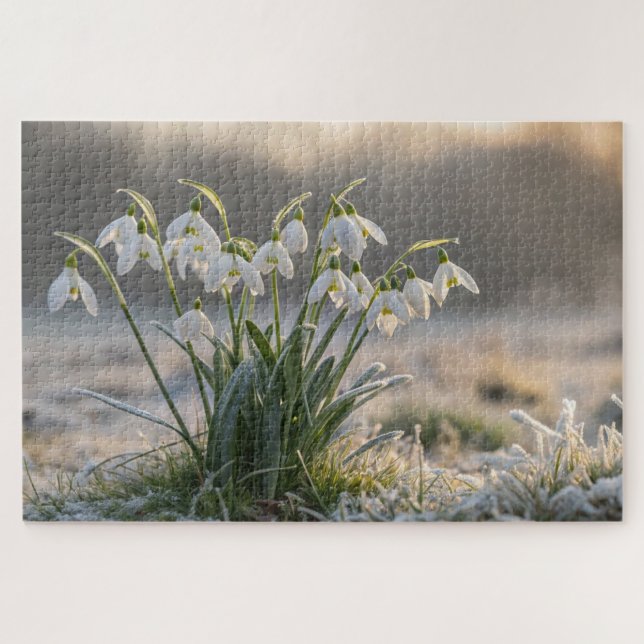 Snowdrop Frost Puzzle - Delicate Winter Nature Art (Horizontal)
