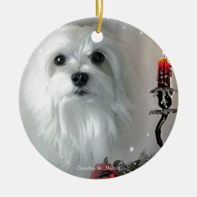 Snowdrop the Maltese Ceramic Ornament (Front)