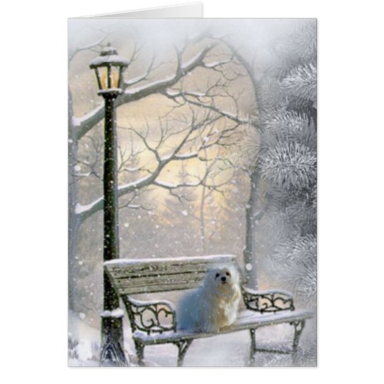 Snowdrop the Maltese Christmas Card