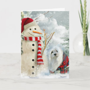 Snowdrop the Maltese Christmas Card