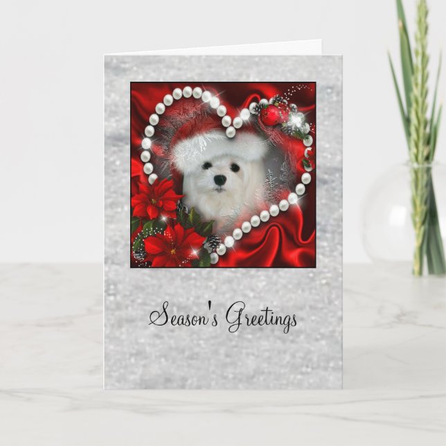Snowdrop the Maltese Christmas Card (Front)