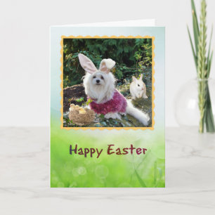 Snowdrop the Maltese Easter Greeting Card
