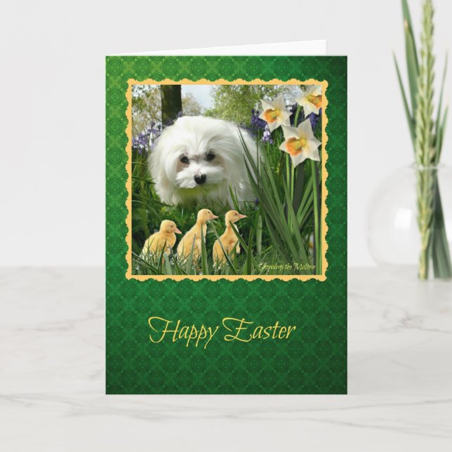 Snowdrop the Maltese Easter Greeting Card (Front)