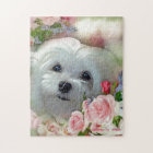 Snowdrop the Maltese