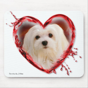 Snowdrop the Maltese Mouse Pad