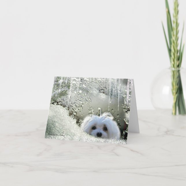 Snowdrop the Maltese Note Card (Front)