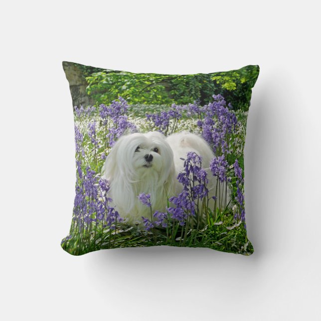 Snowdrop the Maltese Pillow/Cushion Throw Pillow (Front)