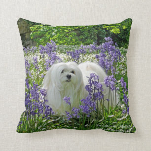 Snowdrop the Maltese Pillow/Cushion Throw Pillow