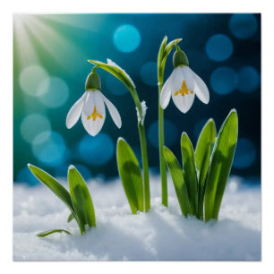 Snowdrops #1 Wall Art