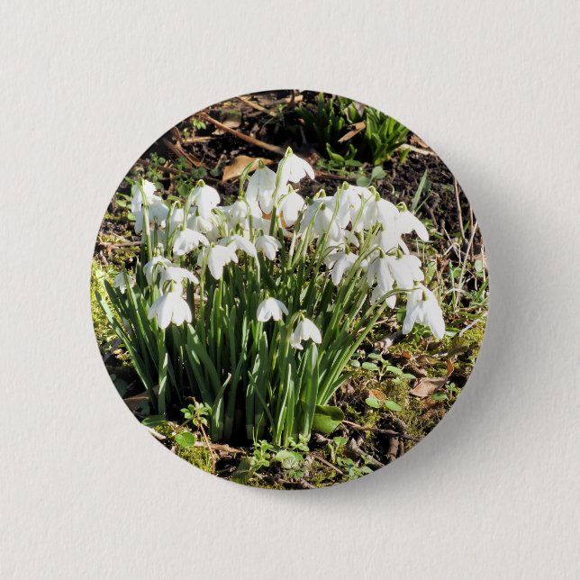 SNOWDROPS 2 INCH ROUND BUTTON (Front)