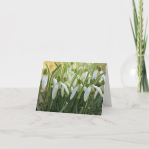 Snowdrops Blank Notecard