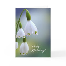 Snowdrops Bonne Carte d'Anniversaire