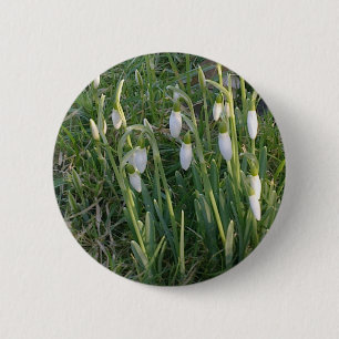 Snowdrops Button
