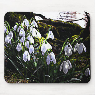 Snowdrops by River Hafren Mousemat Mouse Pad