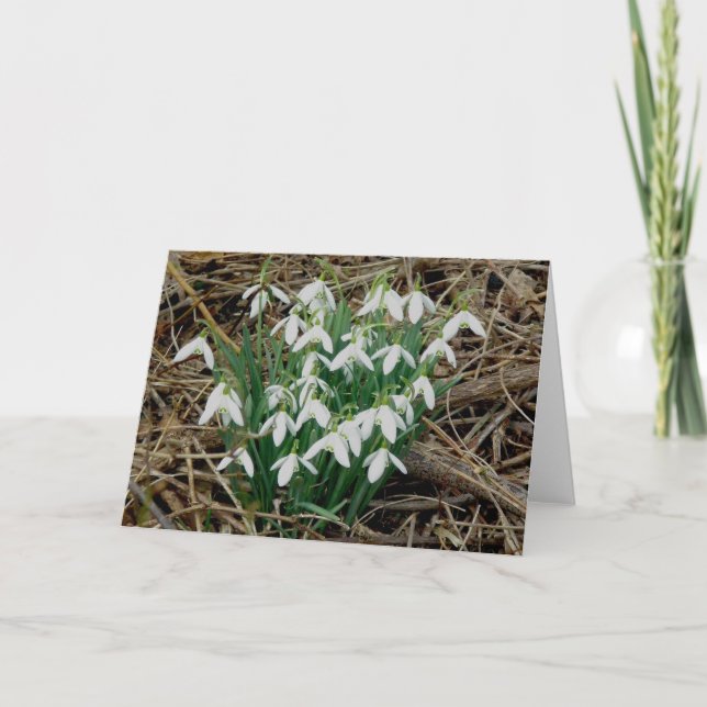 Snowdrops Card (Front)