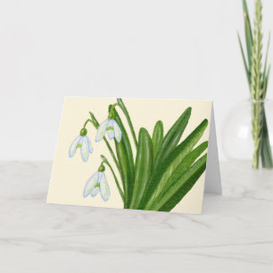 Snowdrops card