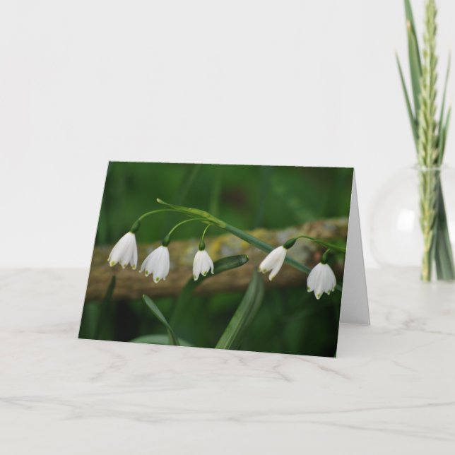 Snowdrops Card (Front)