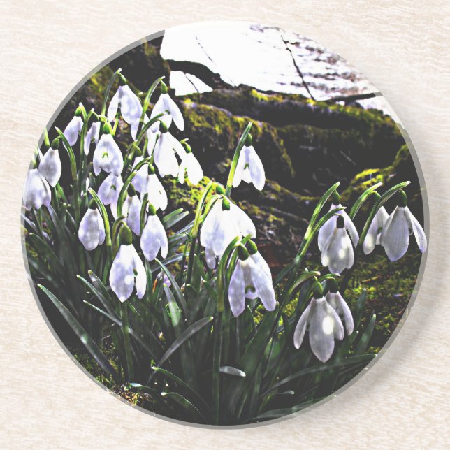 Snowdrops Coaster (Front)