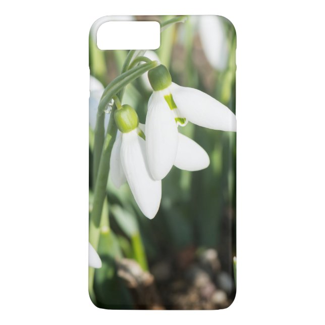 Snowdrops flowers Case-Mate iPhone case (Back)