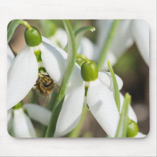 Snowdrops flowers mouse pad