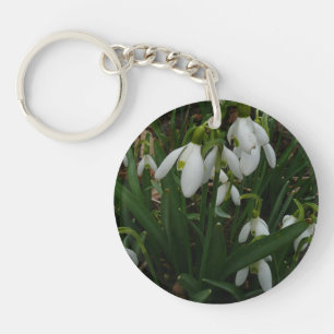 Snowdrops I