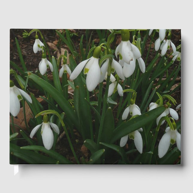 Snowdrops I (Galanthus) White Spring Flowers Guest Book (Front)