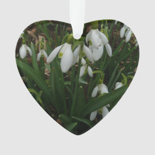 Snowdrops I (Galanthus) White Spring Flowers Ornament