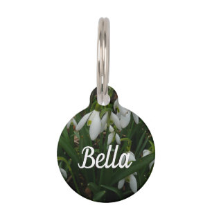 Snowdrops I (Galanthus) White Spring Flowers Pet Tag