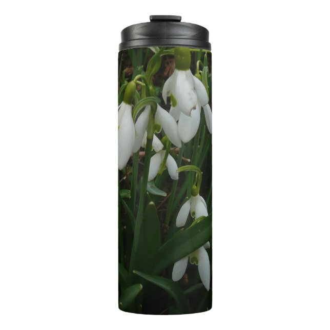 Snowdrops I (Galanthus) White Spring Flowers Thermal Tumbler (Front)