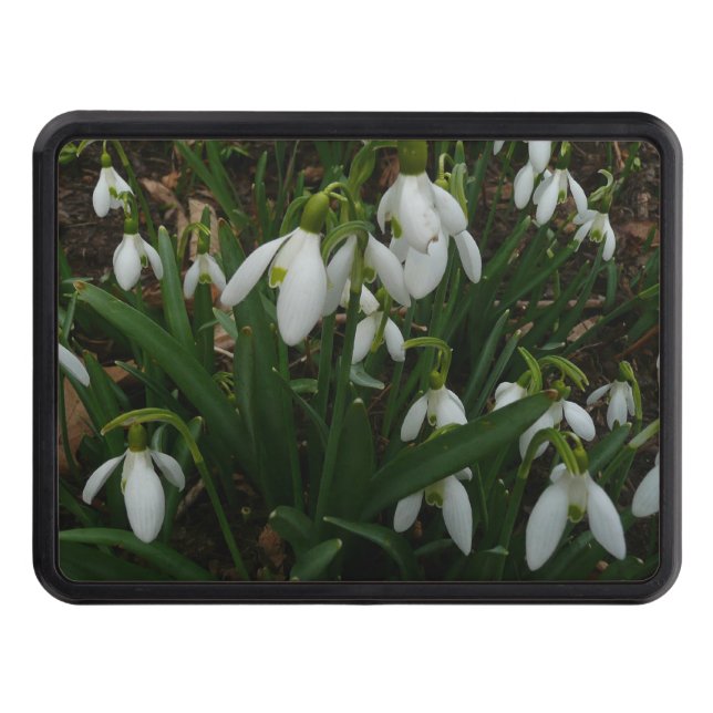 Snowdrops I (Galanthus) White Spring Flowers Trailer Hitch Cover (Front)