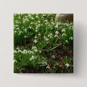 Snowdrops II (Galanthus) Spring Floral 2 Inch Square Button