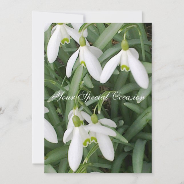 Snowdrops Invitation (Front)