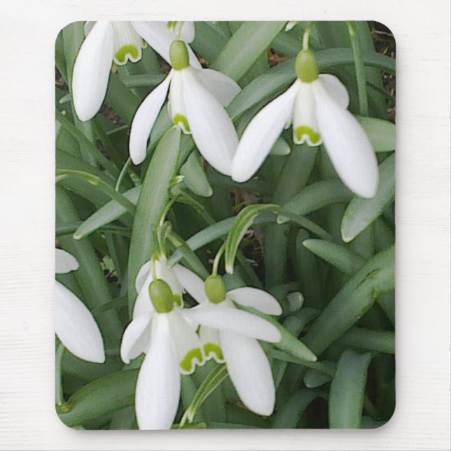 Snowdrops Mousepad (Front)