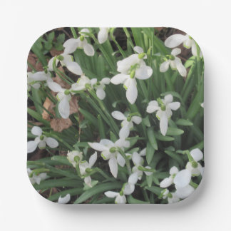 Snowdrops on a Square Paper Plate