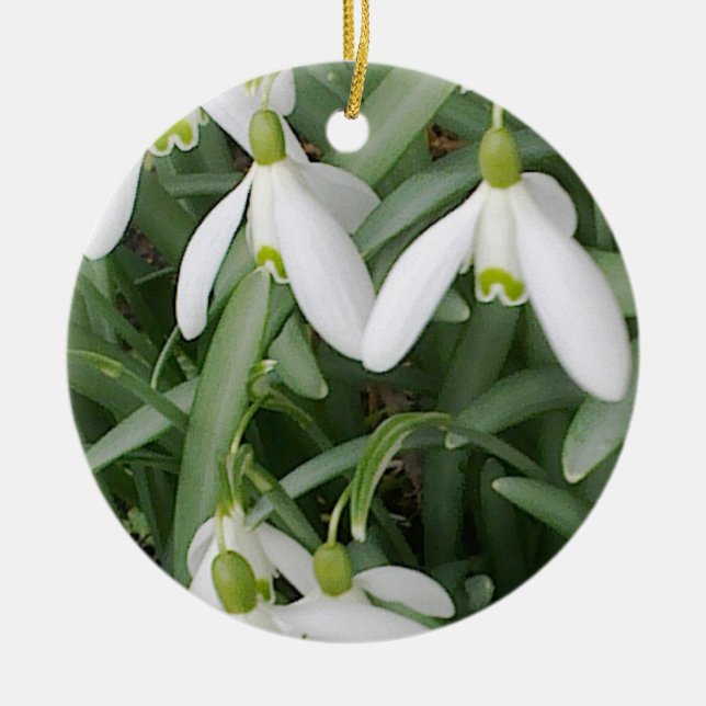 Snowdrops Ornament (Front)