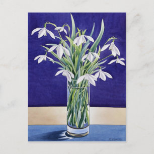 Snowdrops Postcard