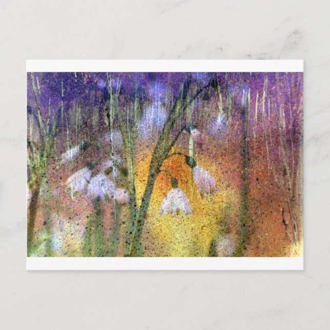 Snowdrops Postcard (Front)