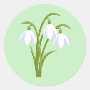 Snowdrops - Spring Flowers on Green Classic Round Sticker