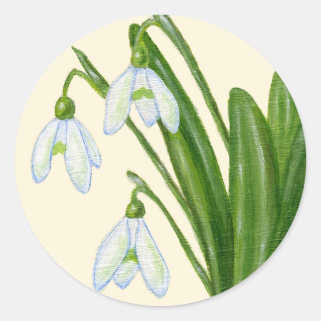 Snowdrops sticker (Front)