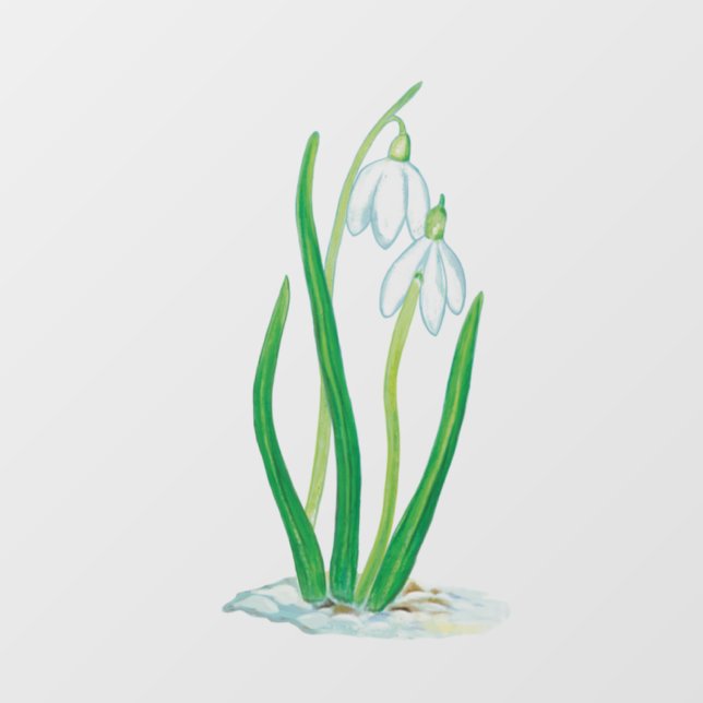 Snowdrops  window cling (Sheet)