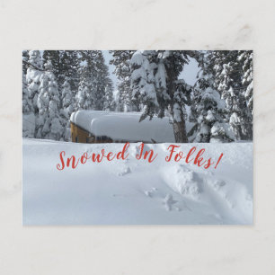 Snowed In Folks! Postcard