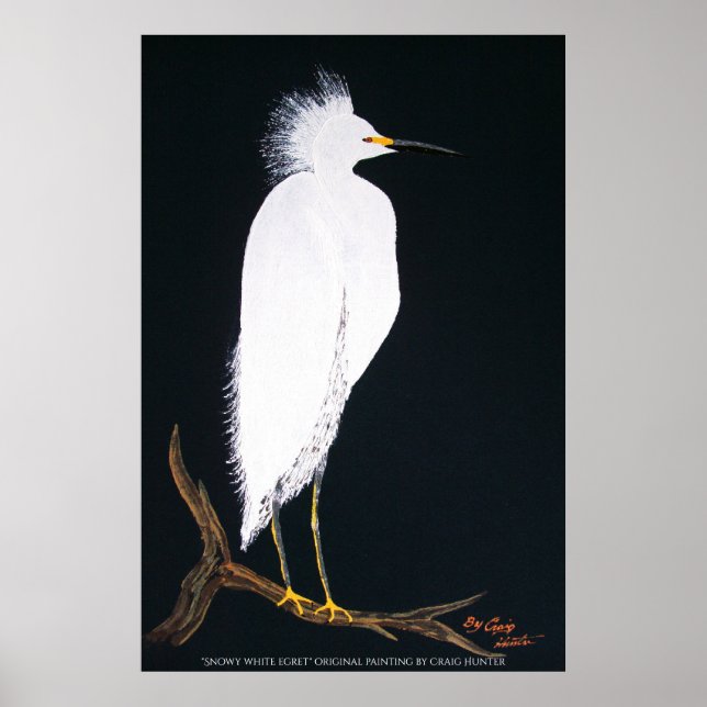 Snowey white egret poster (Front)