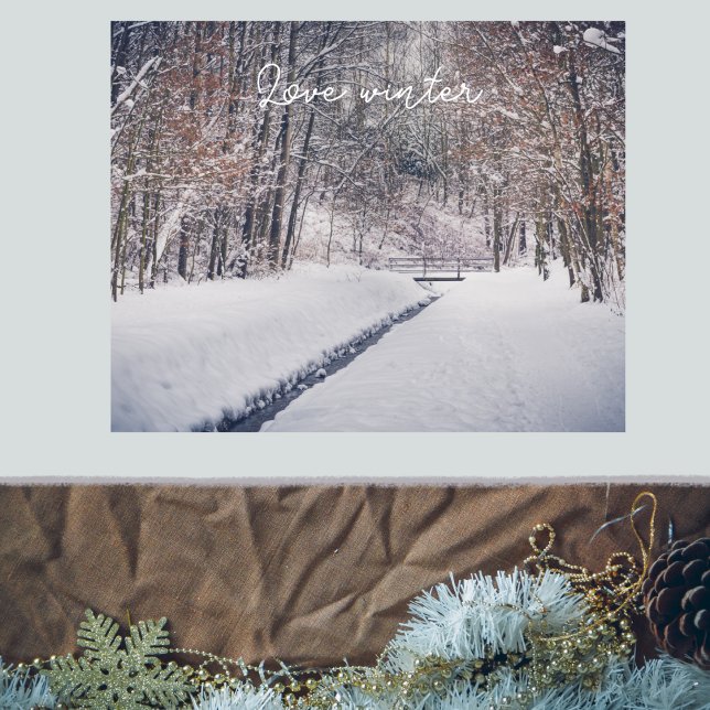 Snowfall at the park throw poster (Creator Uploaded)