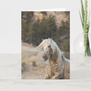 Snowfall - Galloping to Freedom Greeting Card