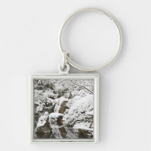Snowfall in Portland Japanese Garden, 2 Keychain