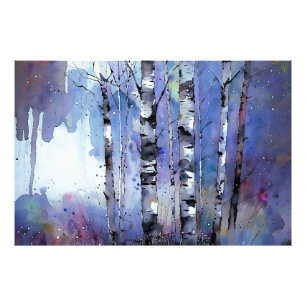 Snowfall in the Enchanted Birch      Photo Print