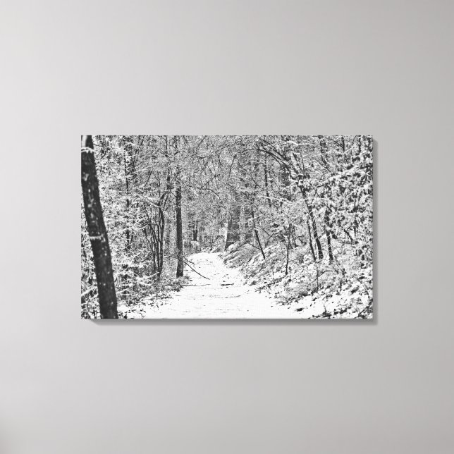Snowfall on the Forest Trail B&W Canvas Print (Front)