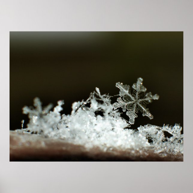 Snowflake 2009 Blizzard Poster (Front)